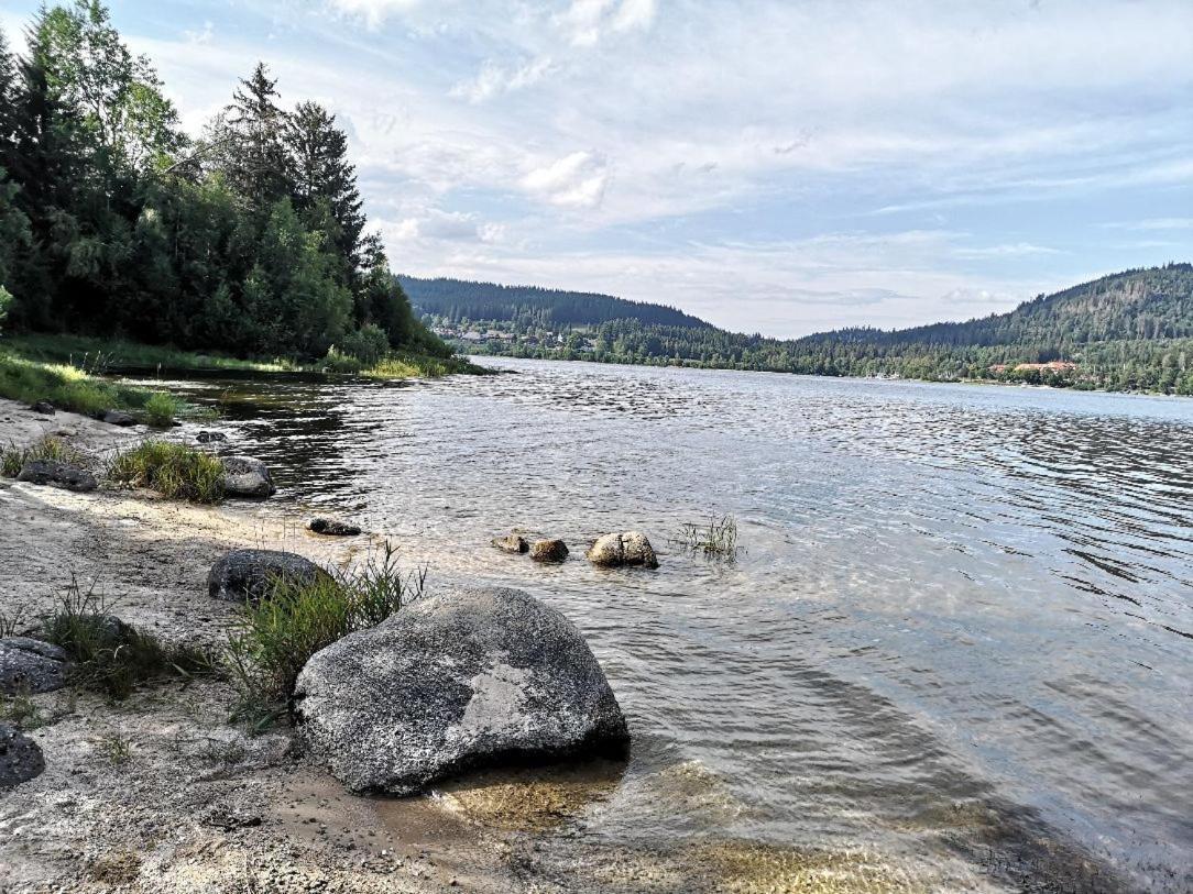 C1 Albmatte-Fewo Sauna, Hallenbad Aussenbecken Massagen Nebenan Menzenschwand-Hinterdorf Kültér fotó