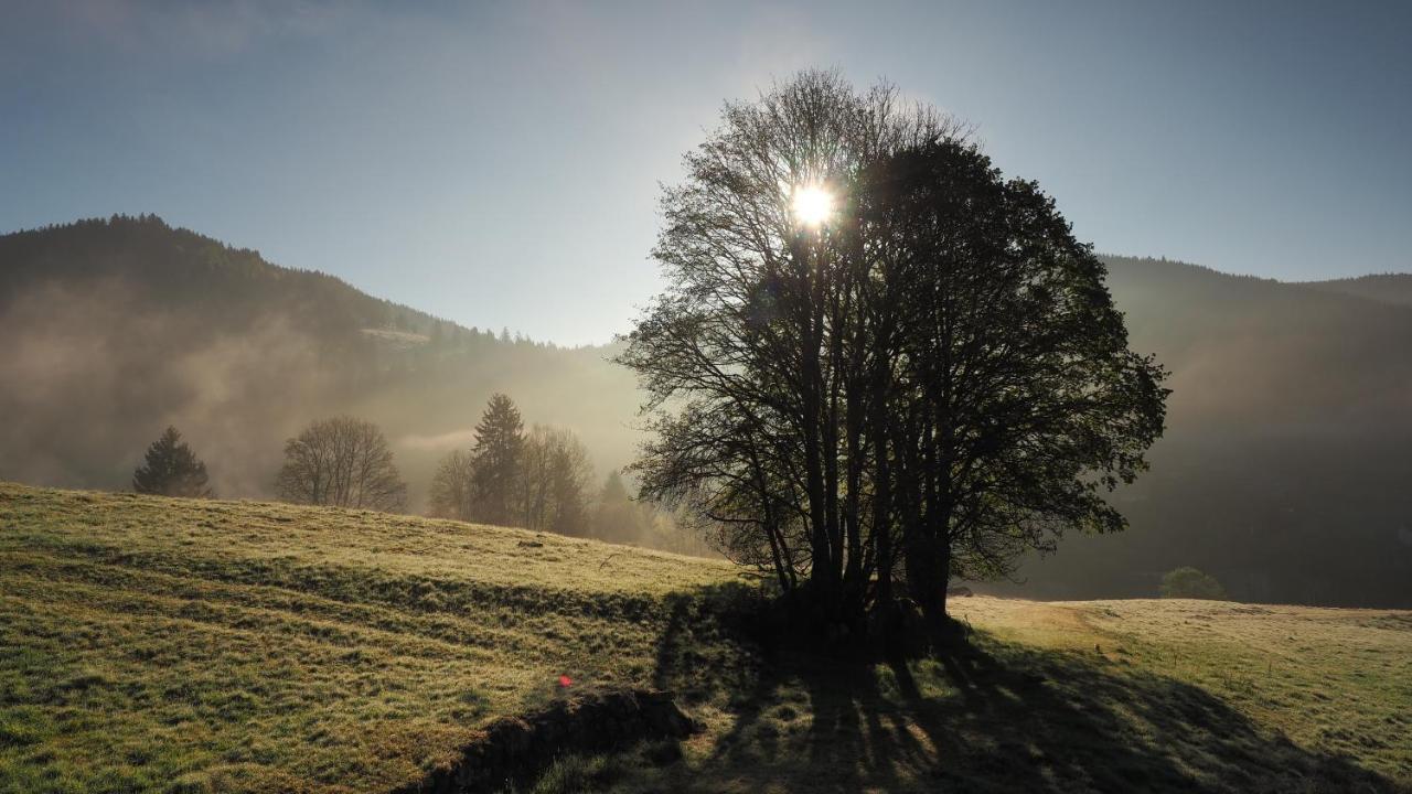 C1 Albmatte-Fewo Sauna, Hallenbad Aussenbecken Massagen Nebenan Menzenschwand-Hinterdorf Kültér fotó