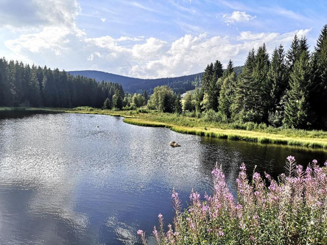 C1 Albmatte-Fewo Sauna, Hallenbad Aussenbecken Massagen Nebenan Menzenschwand-Hinterdorf Kültér fotó