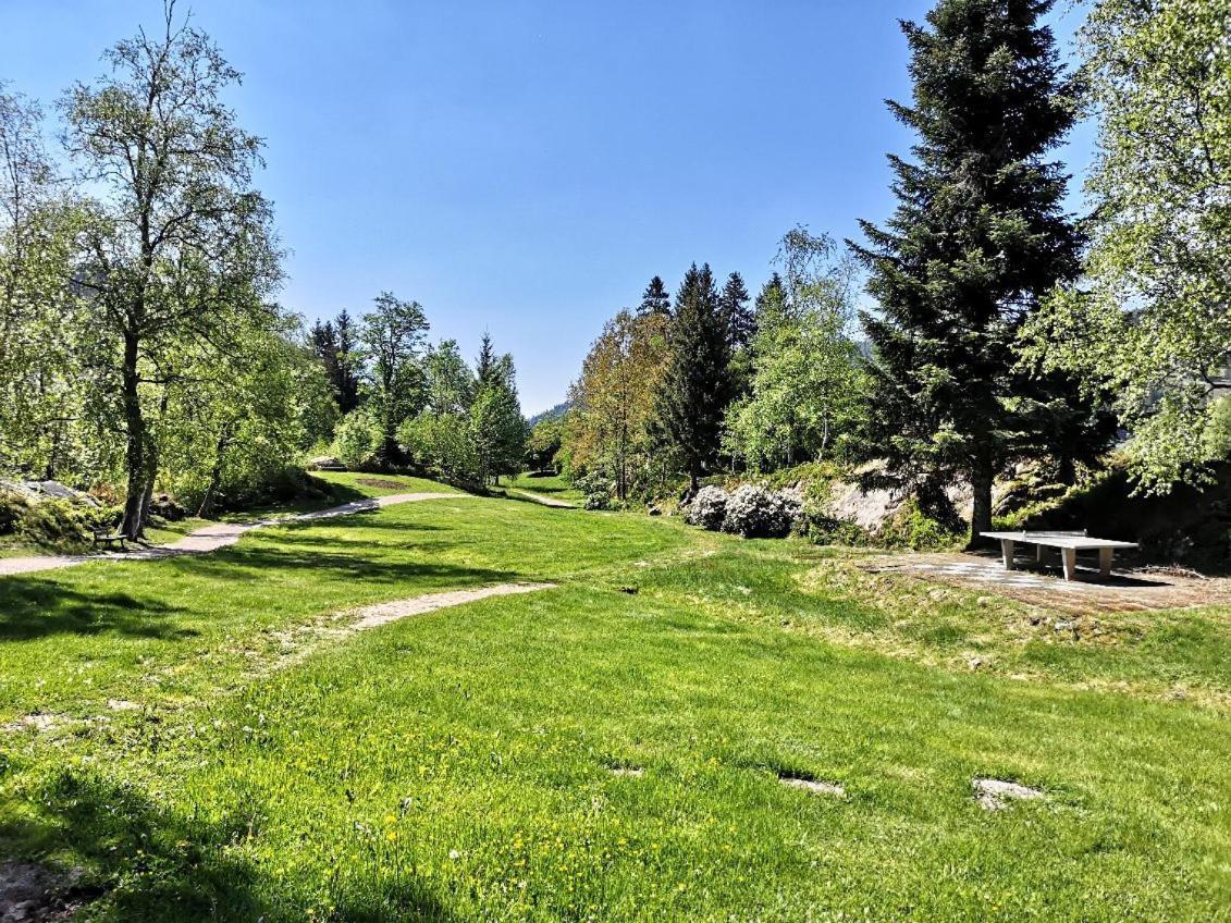 C1 Albmatte-Fewo Sauna, Hallenbad Aussenbecken Massagen Nebenan Menzenschwand-Hinterdorf Kültér fotó