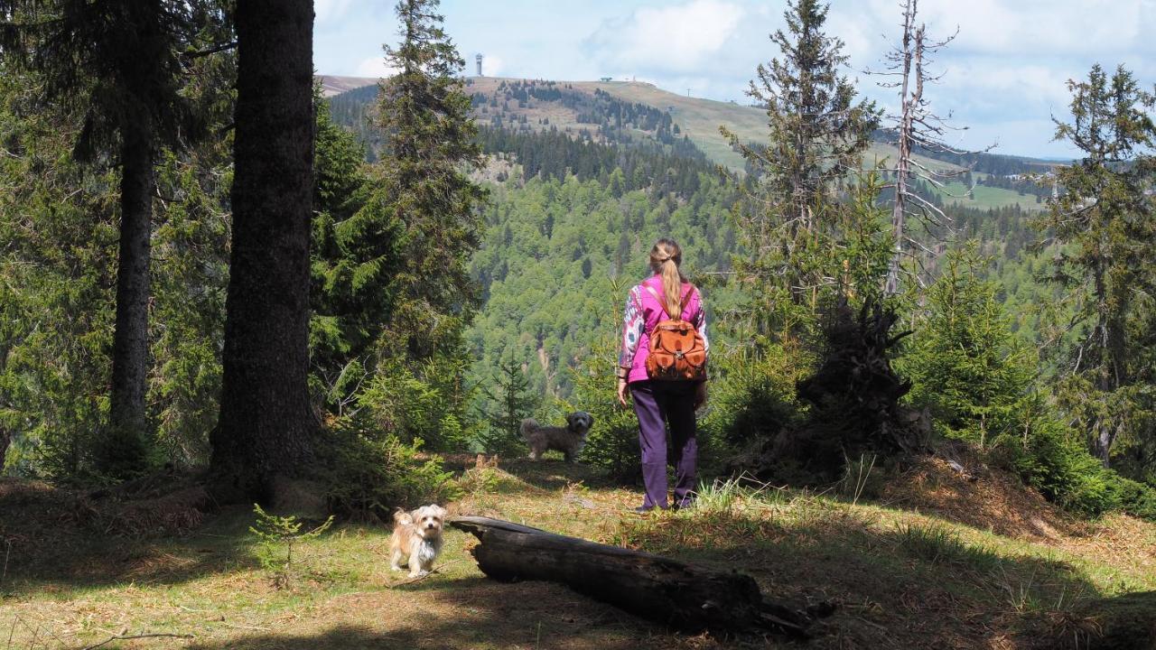 C1 Albmatte-Fewo Sauna, Hallenbad Aussenbecken Massagen Nebenan Menzenschwand-Hinterdorf Kültér fotó