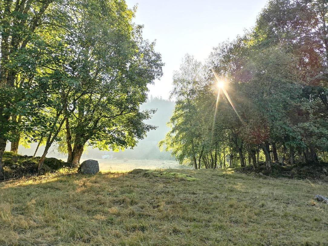 C1 Albmatte-Fewo Sauna, Hallenbad Aussenbecken Massagen Nebenan Menzenschwand-Hinterdorf Kültér fotó