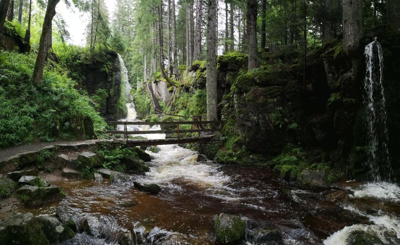C1 Albmatte-Fewo Sauna, Hallenbad Aussenbecken Massagen Nebenan Menzenschwand-Hinterdorf Kültér fotó