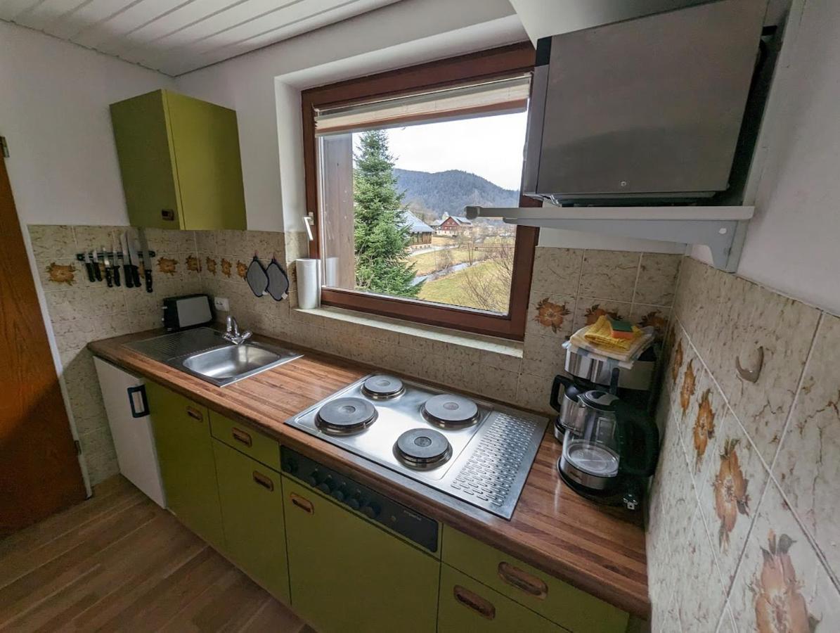 C1 Albmatte-Fewo Sauna, Hallenbad Aussenbecken Massagen Nebenan Menzenschwand-Hinterdorf Kültér fotó