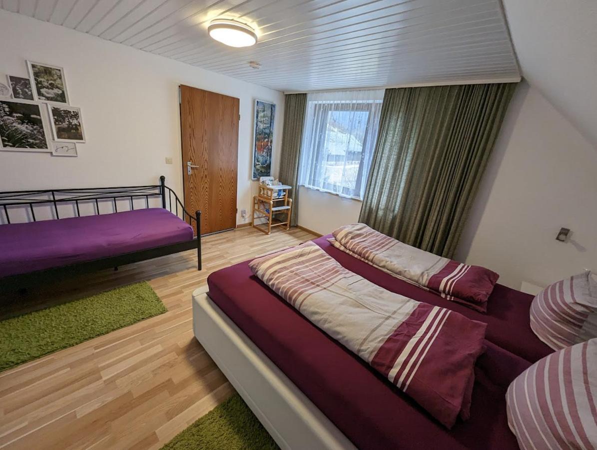 C1 Albmatte-Fewo Sauna, Hallenbad Aussenbecken Massagen Nebenan Menzenschwand-Hinterdorf Kültér fotó