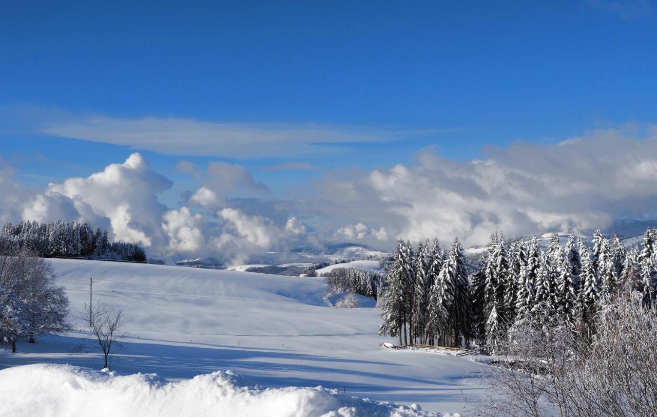 C1 Albmatte-Fewo Sauna, Hallenbad Aussenbecken Massagen Nebenan Menzenschwand-Hinterdorf Kültér fotó