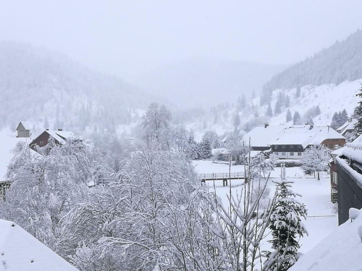 C1 Albmatte-Fewo Sauna, Hallenbad Aussenbecken Massagen Nebenan Menzenschwand-Hinterdorf Kültér fotó
