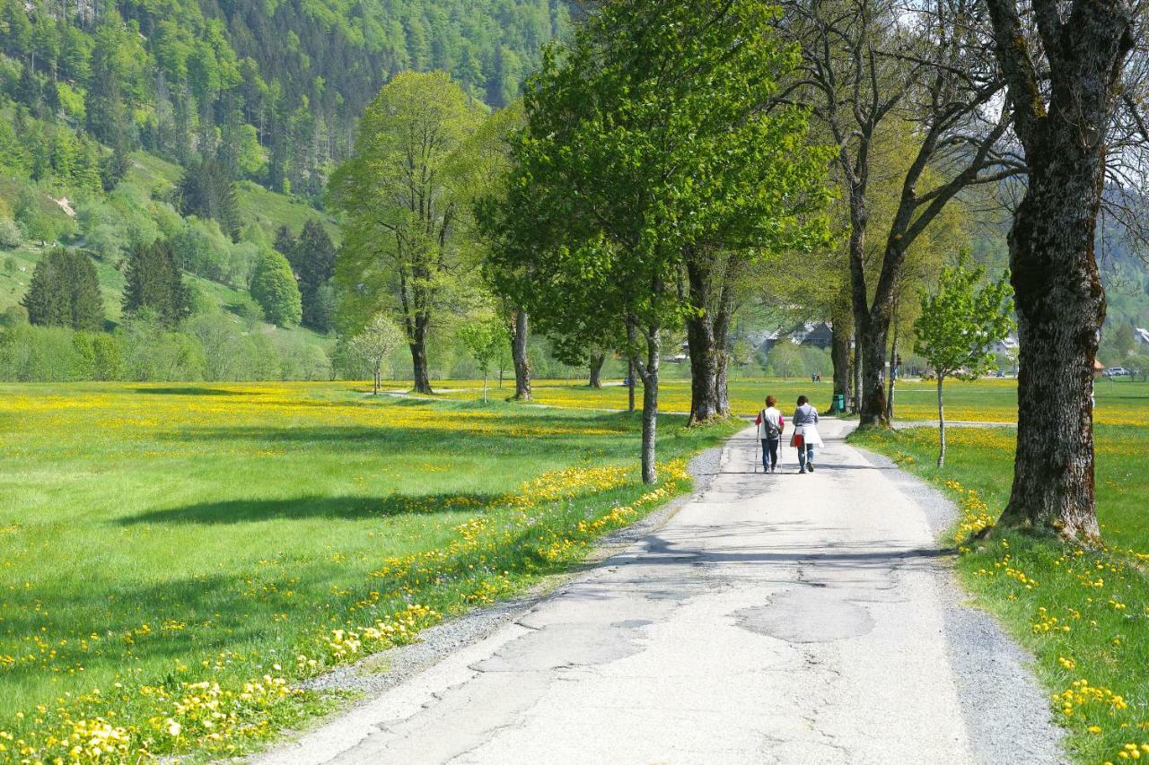 C1 Albmatte-Fewo Sauna, Hallenbad Aussenbecken Massagen Nebenan Menzenschwand-Hinterdorf Kültér fotó