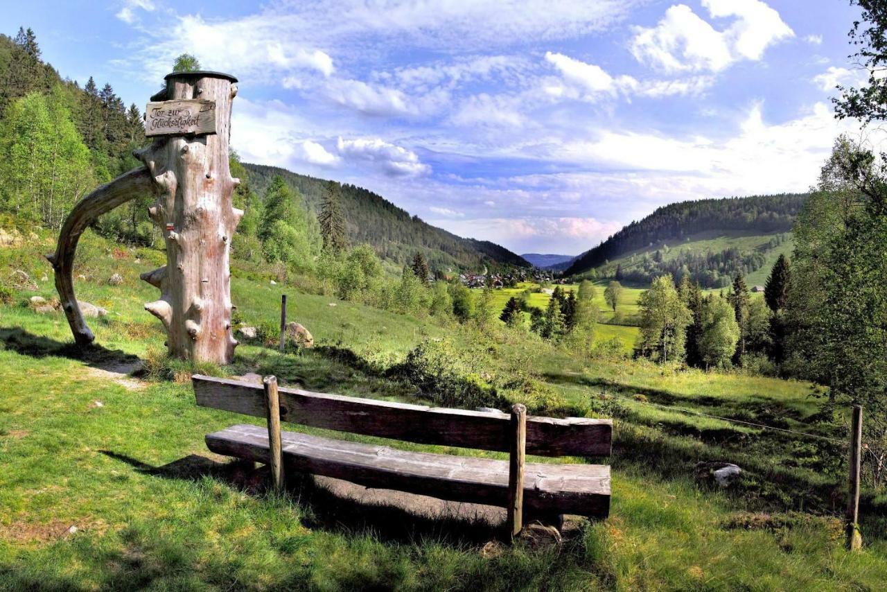 C1 Albmatte-Fewo Sauna, Hallenbad Aussenbecken Massagen Nebenan Menzenschwand-Hinterdorf Kültér fotó